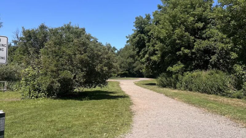 Ellison Dog Park - Rochester, NY