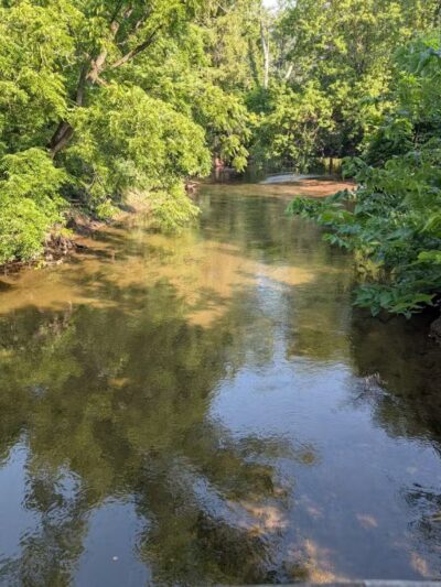 Ellison Dog Park - Rochester, NY