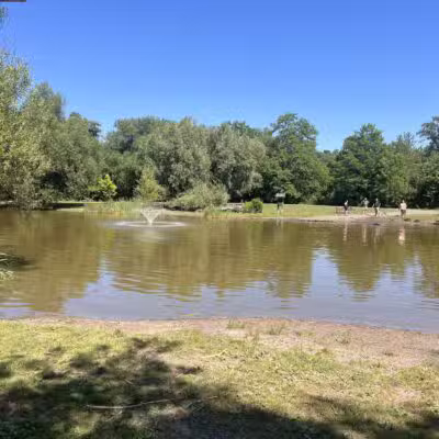 Ellison Dog Park - Rochester, NY