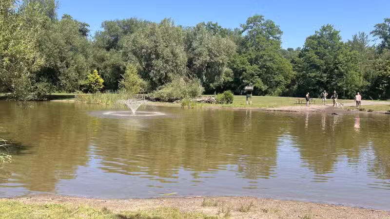 Ellison Dog Park - Rochester, NY