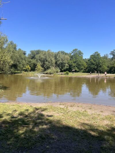 Ellison Dog Park - Rochester, NY