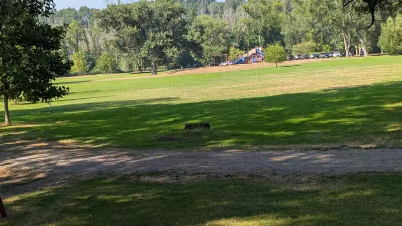 Ellison Dog Park - Rochester, NY