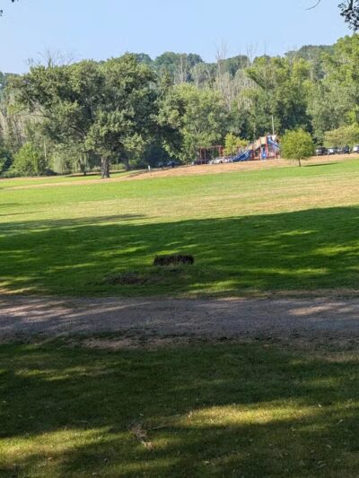 Ellison Dog Park - Rochester, NY