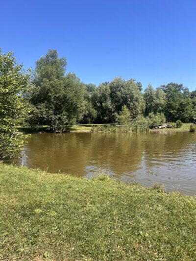 Ellison Dog Park - Rochester, NY