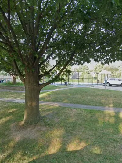 Gardiner Park - Rochester, NY