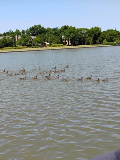 Genesee Gateway Park - Rochester, NY