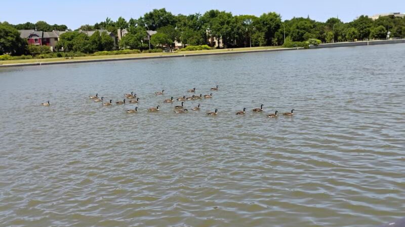 Genesee Gateway Park - Rochester, NY