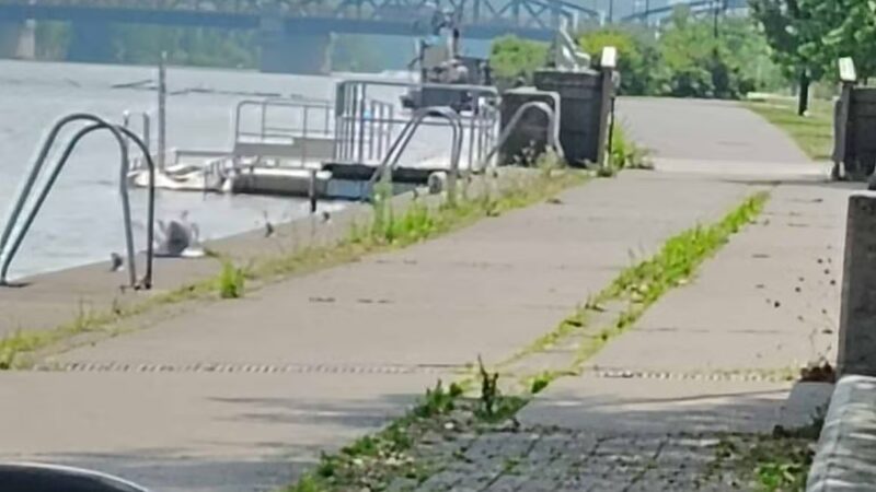 Genesee Gateway Park - Rochester, NY