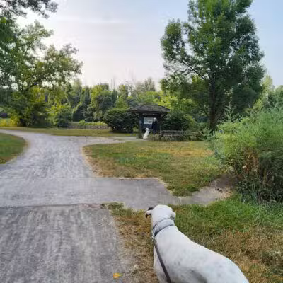 Henpeck Park - Rochester, NY