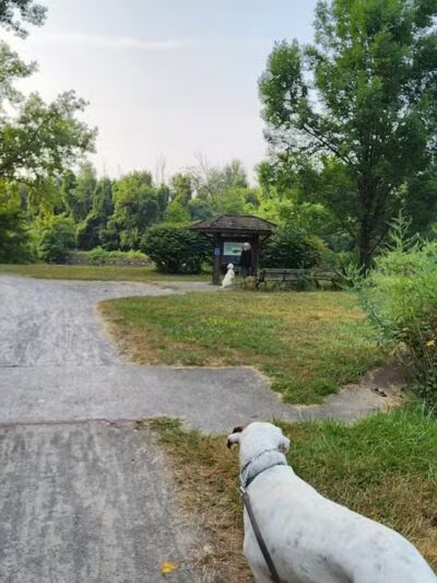 Henpeck Park - Rochester, NY