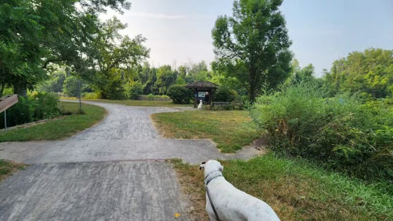 Henpeck Park - Rochester, NY