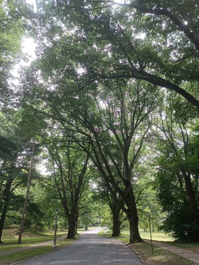 Highland Park - Rochester, NY