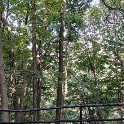 Lower Falls Park - Rochester, NY