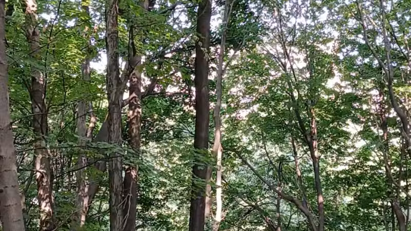 Lower Falls Park - Rochester, NY