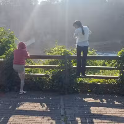 Maplewood Park - Rochester, NY