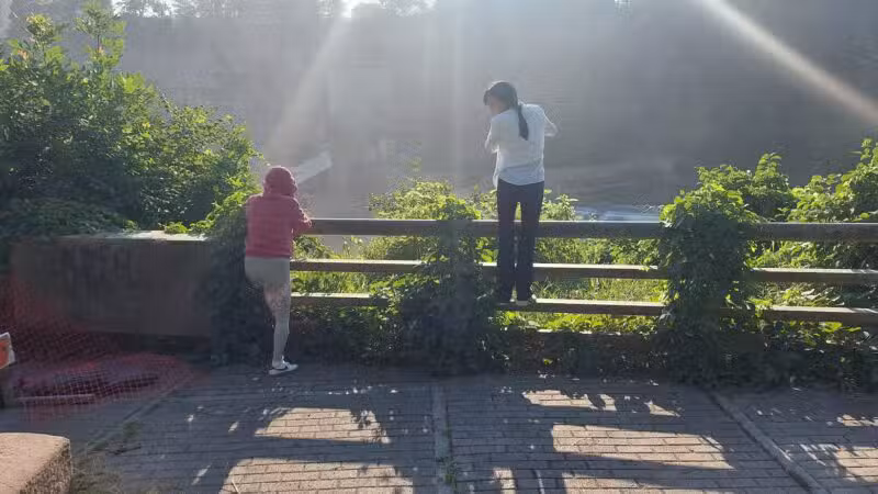 Maplewood Park - Rochester, NY