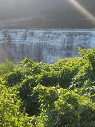 Maplewood Park - Rochester, NY
