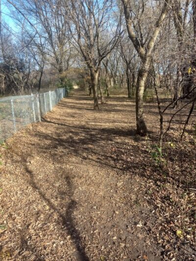 Jean & Carl Frank Canine Park - Rochester, MN