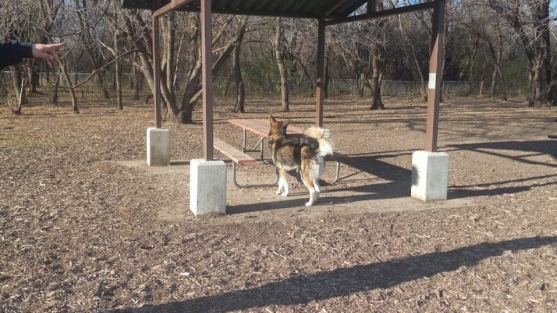 Jean & Carl Frank Canine Park - Rochester, MN