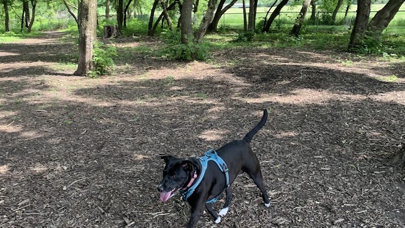 Jean & Carl Frank Canine Park - Rochester, MN