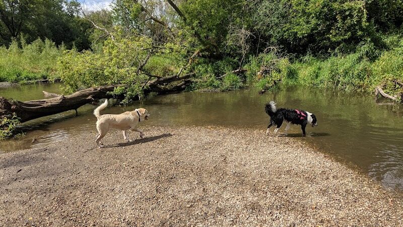 Jean & Carl Frank Canine Park - Rochester, MN