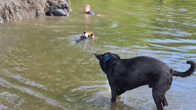 Jean & Carl Frank Canine Park - Rochester, MN