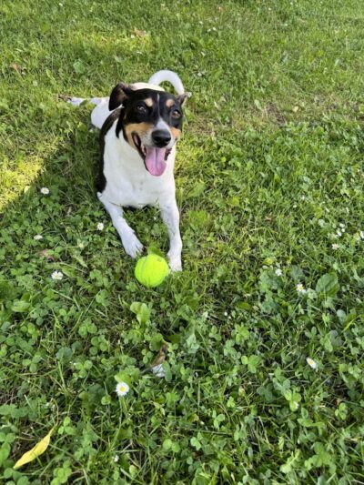 Aberdeen Square - Rochester, NY