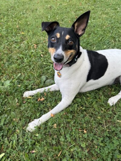 Aberdeen Square - Rochester, NY