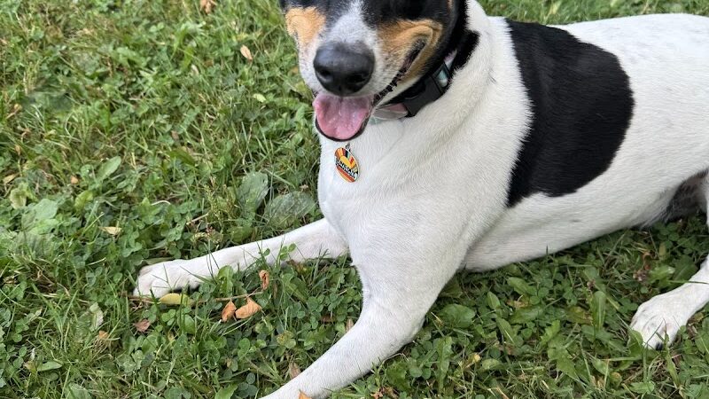 Aberdeen Square - Rochester, NY