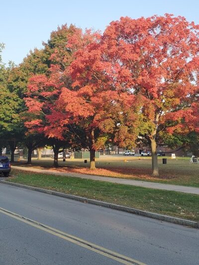 Bausch & Lomb Riverside Park - Rochester, NY