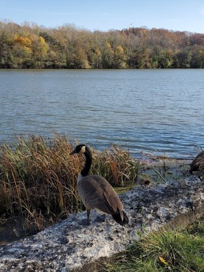 Bausch & Lomb Riverside Park - Rochester, NY