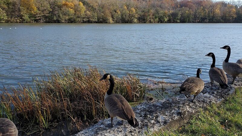 Bausch & Lomb Riverside Park - Rochester, NY