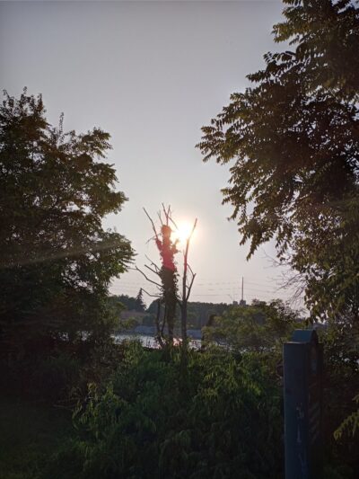 Bausch & Lomb Riverside Park - Rochester, NY