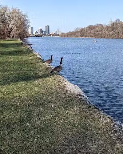 Bausch & Lomb Riverside Park - Rochester, NY