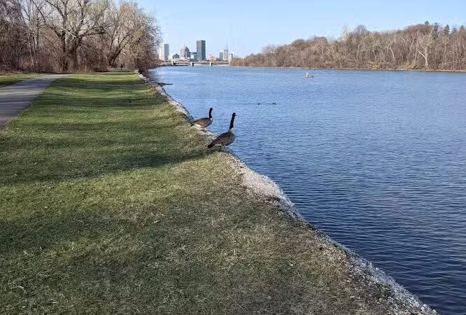 Bausch & Lomb Riverside Park - Rochester, NY