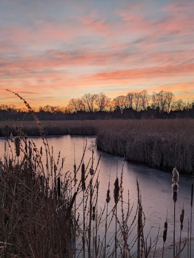 Brickyard Trail (North Entrance) - Rochester, NY