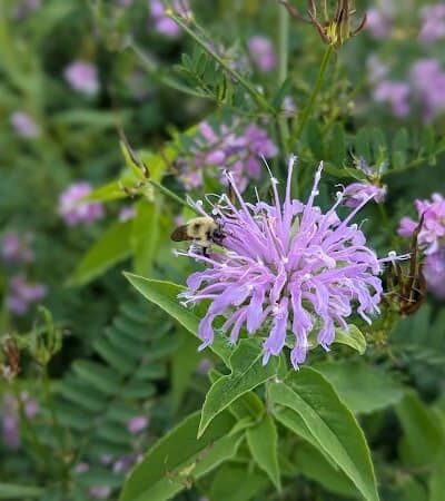 Brickyard Trail (North Entrance) - Rochester, NY
