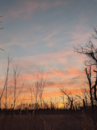Brickyard Trail (North Entrance) - Rochester, NY