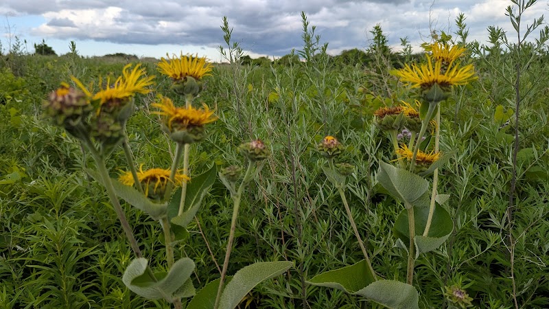 Brickyard Trail (North Entrance) - Rochester, NY