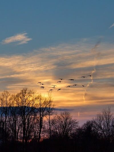Brickyard Trail (North Entrance) - Rochester, NY
