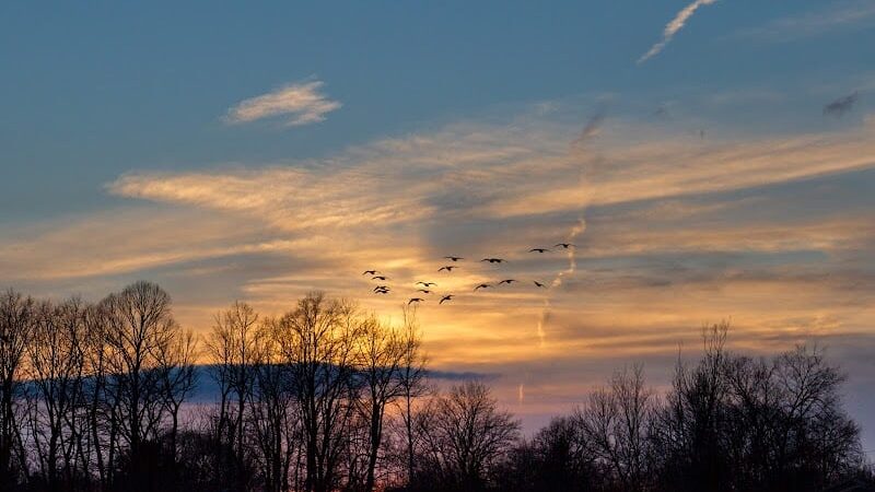 Brickyard Trail (North Entrance) - Rochester, NY