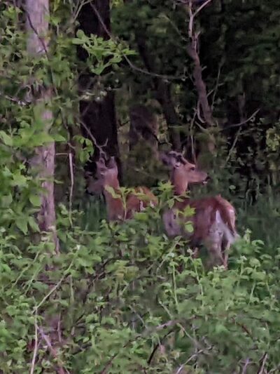 Brickyard Trail (North Entrance) - Rochester, NY