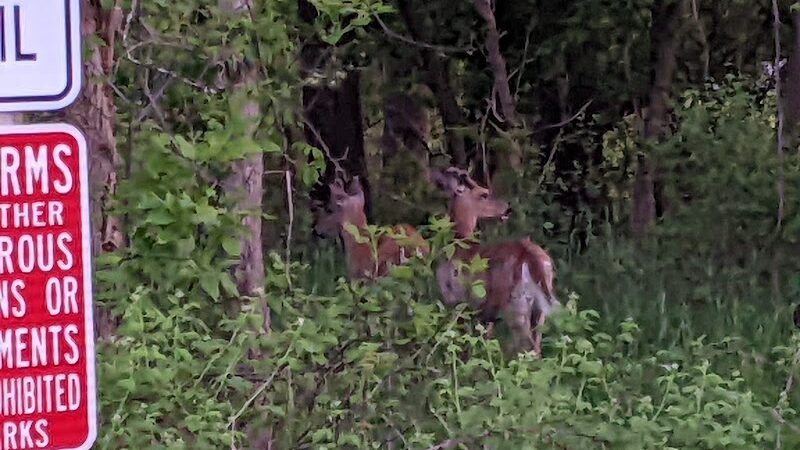 Brickyard Trail (North Entrance) - Rochester, NY