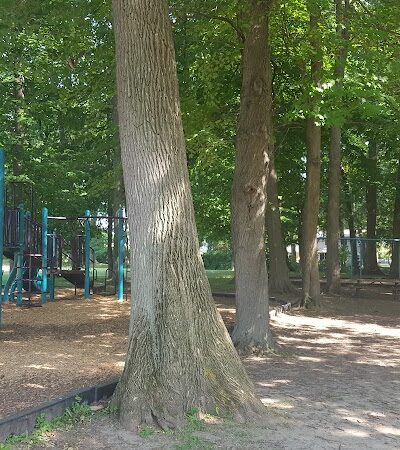 Christopher Fahy Memorial Park - Rochester, NY