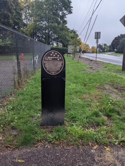 Cobbs Hill Dog Park - Rochester, NY