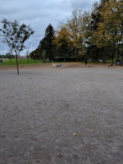 Cobbs Hill Dog Park - Rochester, NY