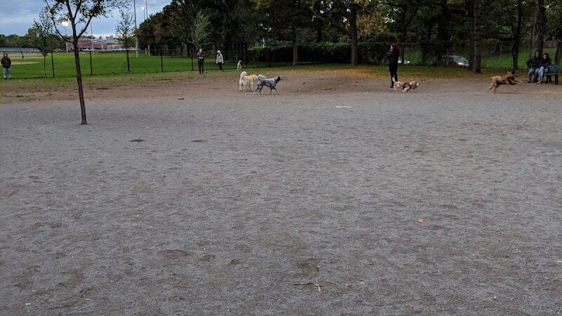 Cobbs Hill Dog Park - Rochester, NY