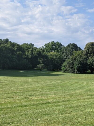 Cobbs Hill Dog Park - Rochester, NY