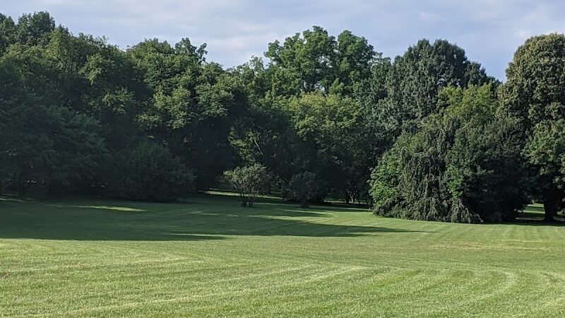 Cobbs Hill Dog Park - Rochester, NY