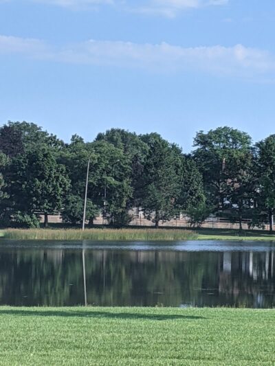 Cobbs Hill Dog Park - Rochester, NY
